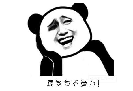 骑马与砍杀2管理值最高的npc,骑马与砍杀2最强npc选择