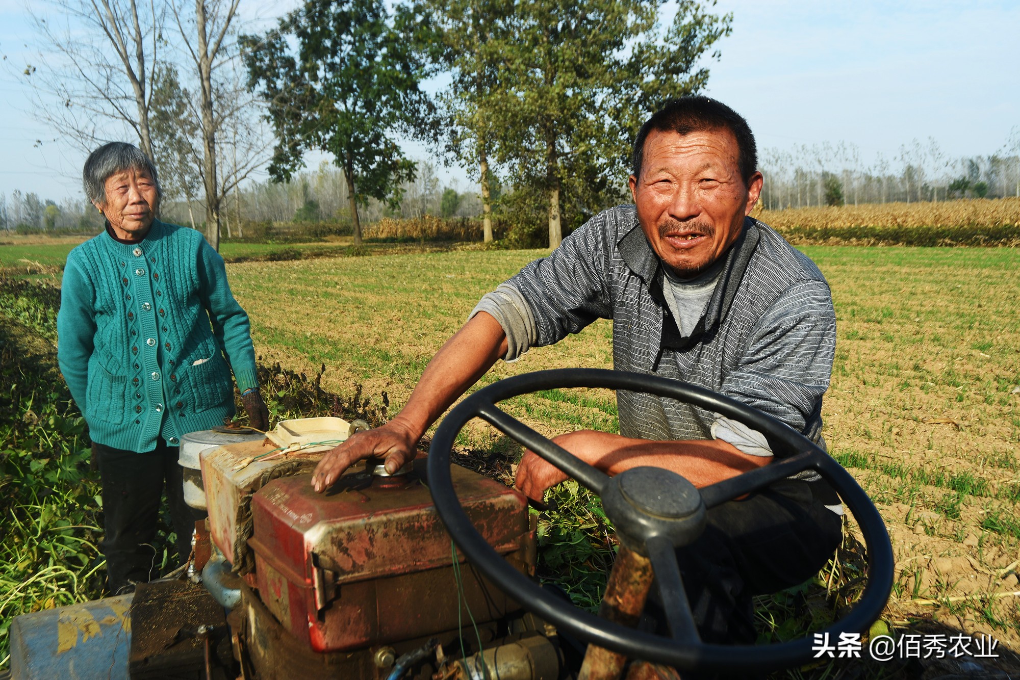 女记者辞职卖地瓜年售过亿,女记者辞职卖烤地瓜
