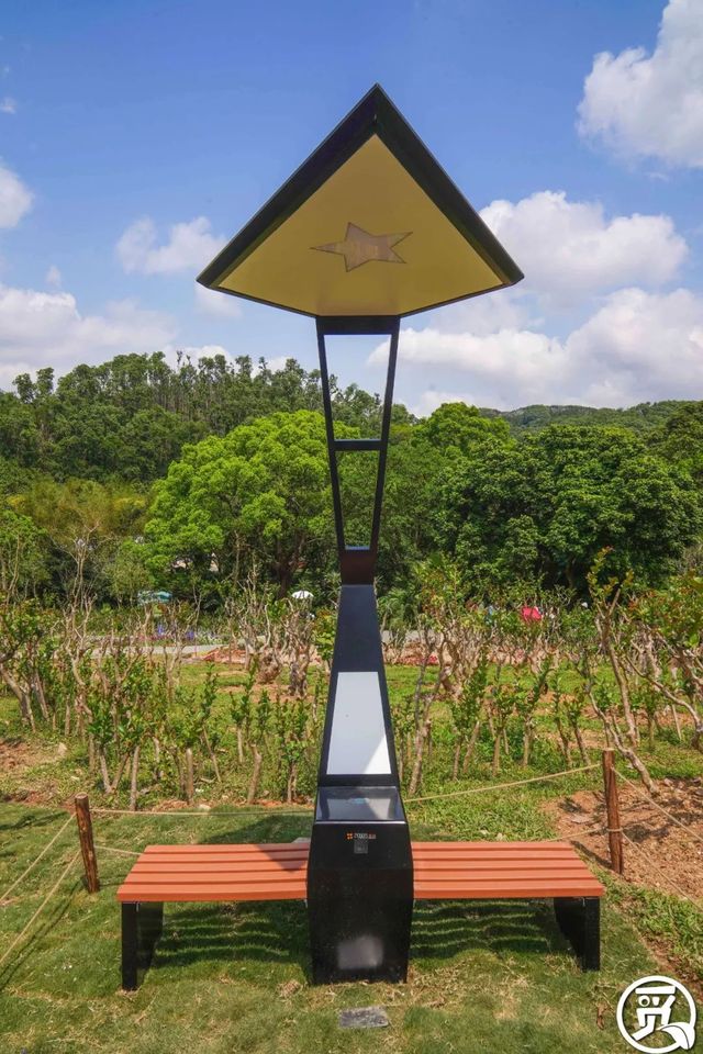 深圳史上最大最美的花展来啦,走进深圳仙湖植物园的国际花展