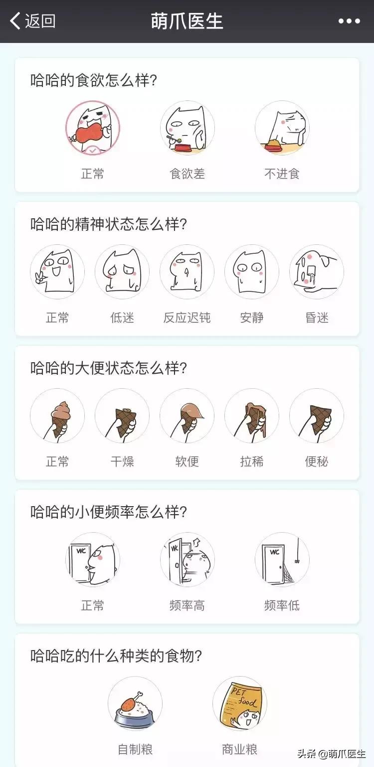 足不出户就能在线治猫病,24小时猫病在线咨询