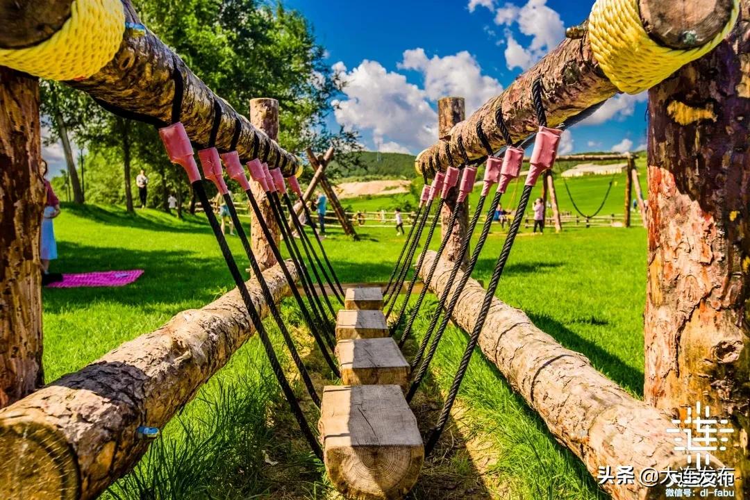 大连最美赏槐露营地,槐之乡露营地