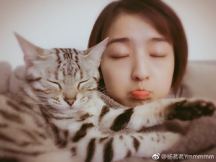 杨茗茗足球,杨茗茗世界杯写真照美如花