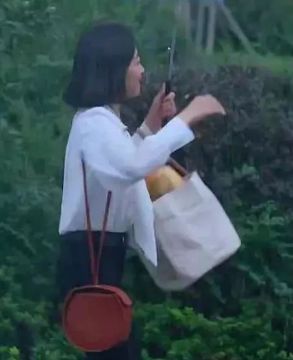 下一站是幸福蔡敏敏当彩虹妹妹,下一站是幸福蔡敏敏的名字