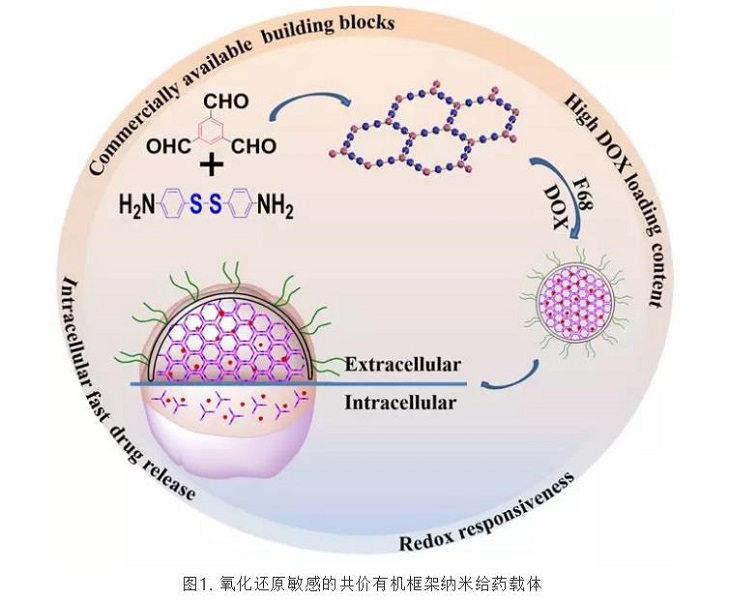 纳米技术怎么治疗癌细胞,攻克基因治疗癌症最新突破消息