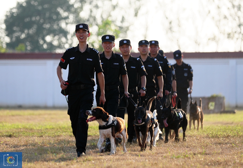 警犬训犬师的工作和生活,如何成为一名合格的警犬训导员