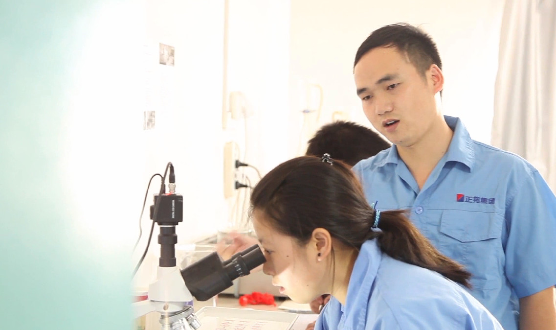 勇立潮头，创新开拓！南昌高新区工业十强企业——江西正邦科技股份有限公司