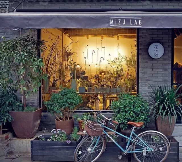 杨澜专访张艾嘉,杨澜采访张艾嘉