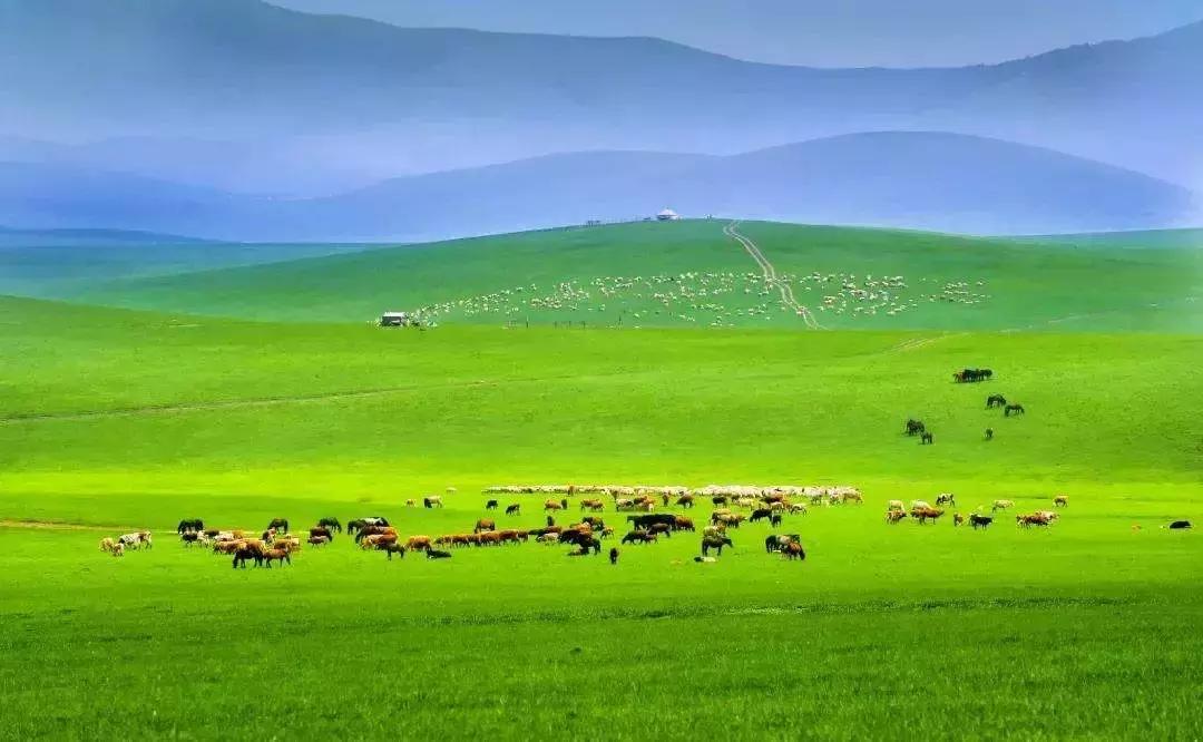 70年有什么经典的歌,6070年代都在听的一首歌