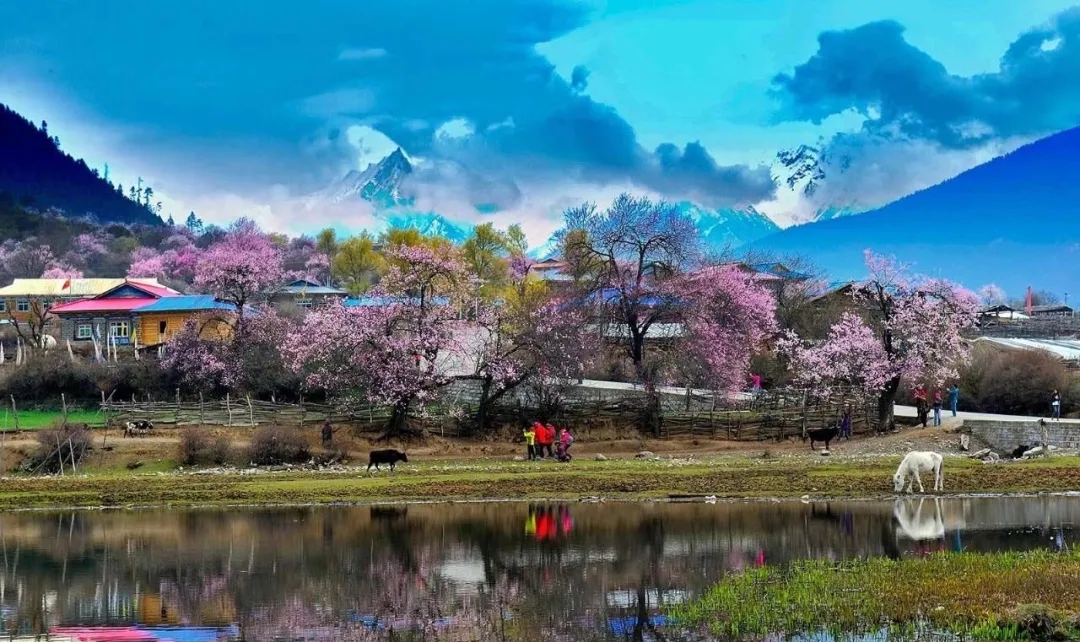 波密到鲁朗细雨蒙蒙,波密到林芝冰川
