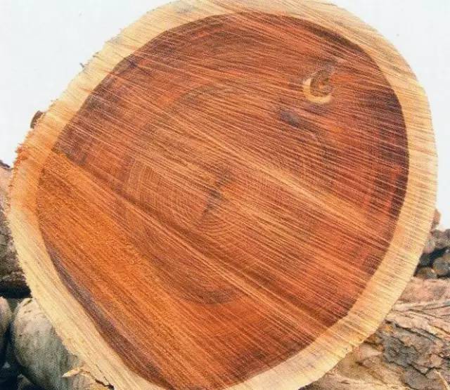 木头视频大全完整,木头全集完整版