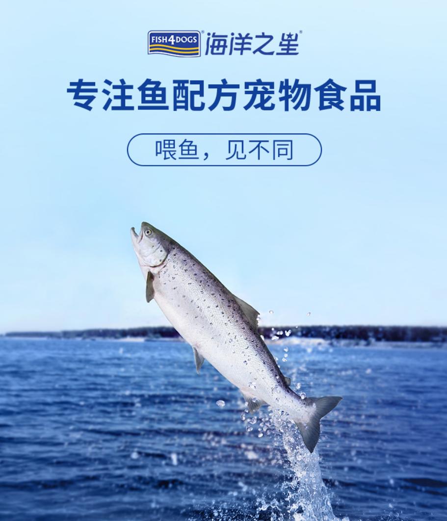 汪星人吃什么狗粮好,汪星人吃什么狗粮好一点