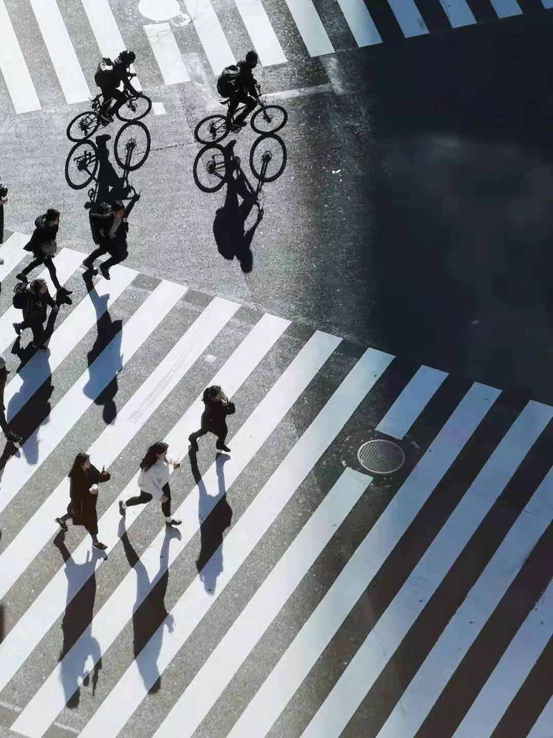 九条“不见得”,手机也能拍大片