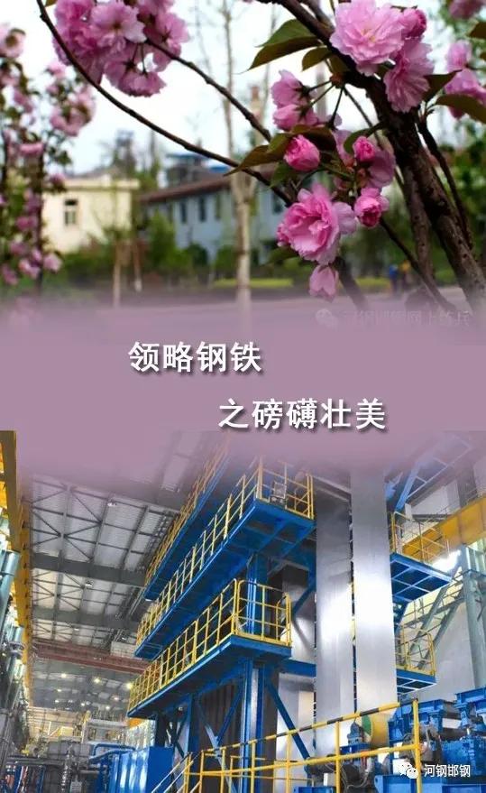 娌抽挗閭挗閾佽矾,娌抽挗閭挗楂樼倝