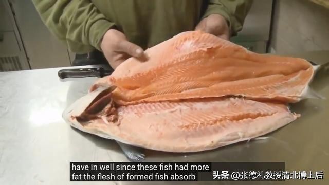 外媒曝光了挪威三文鱼养殖真相吗,挪威三文鱼养殖环境恶劣新闻