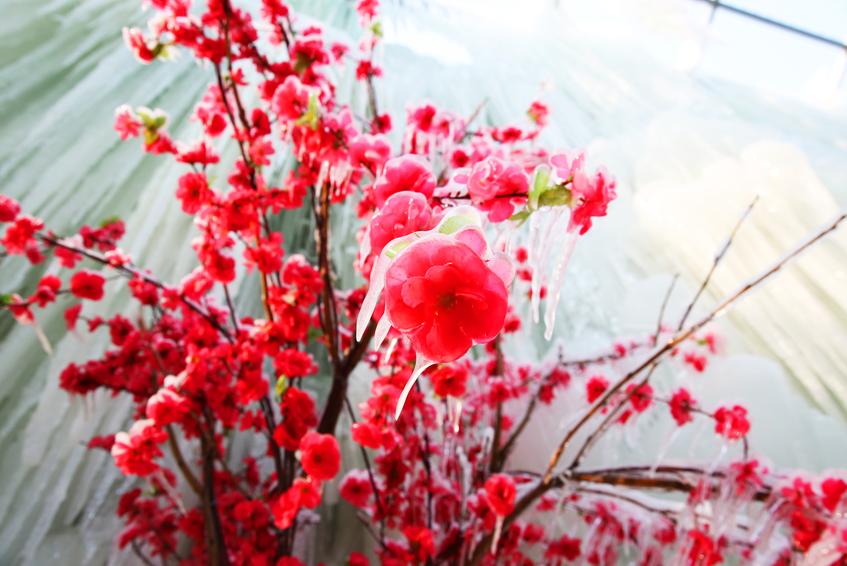 七步沟国庆活动,七步沟春节表演