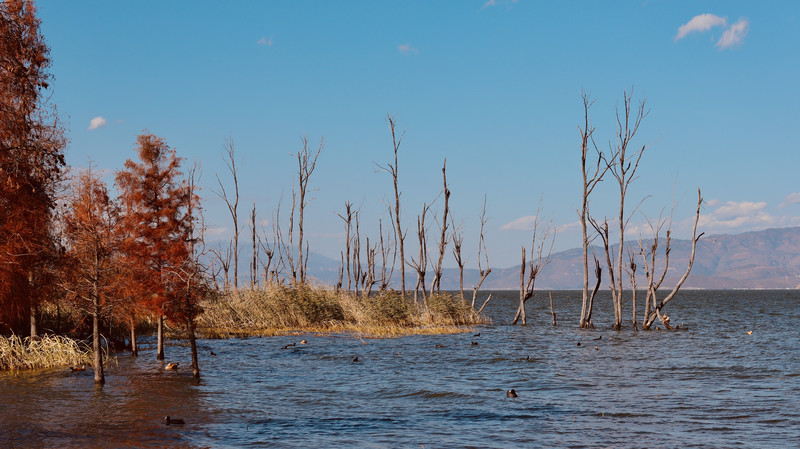 大理洱海电动车环海路线,大理可以租电动车环洱海吗