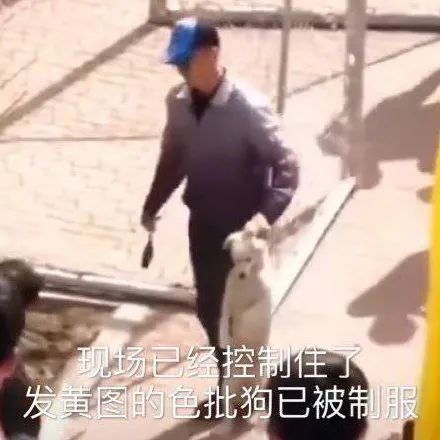 贴吧到底该不该火,贴吧会不会被封