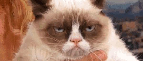 鼠疫霍乱有没有疫苗,鼠疫疫苗医保报销吗