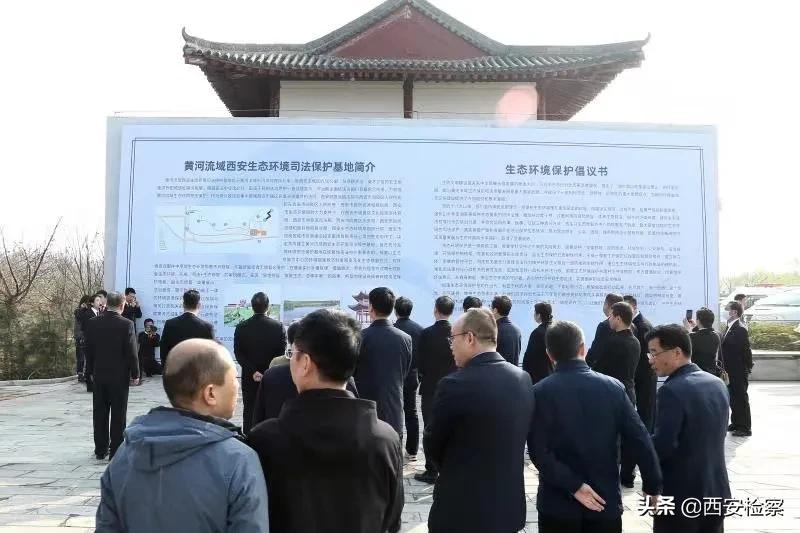 陕西黄河流域生态保护范围,陕西十大行动保护黄河流域生态