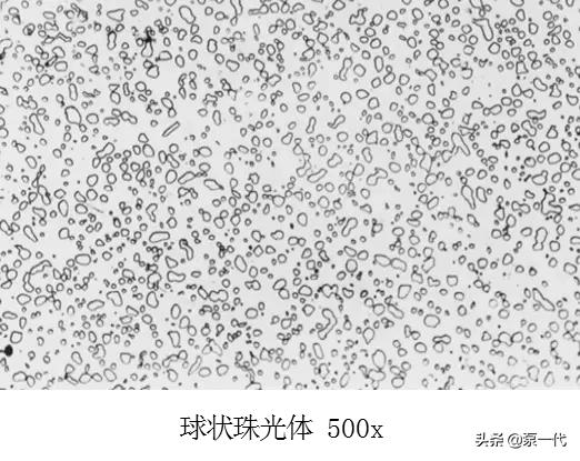 马氏体、奥氏体、珠光体，20种材料彩色金相，带你轻松识别