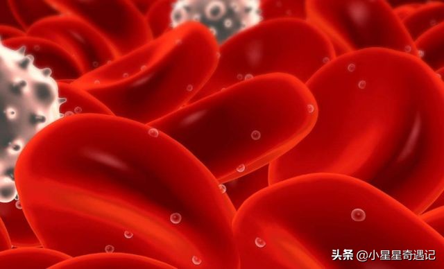 人类死之后身体会发生哪些变化,人类死亡后血液去哪了