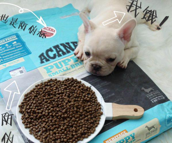 宠物狗粮品牌性价比高的推荐,性价比高销量高的狗粮推荐