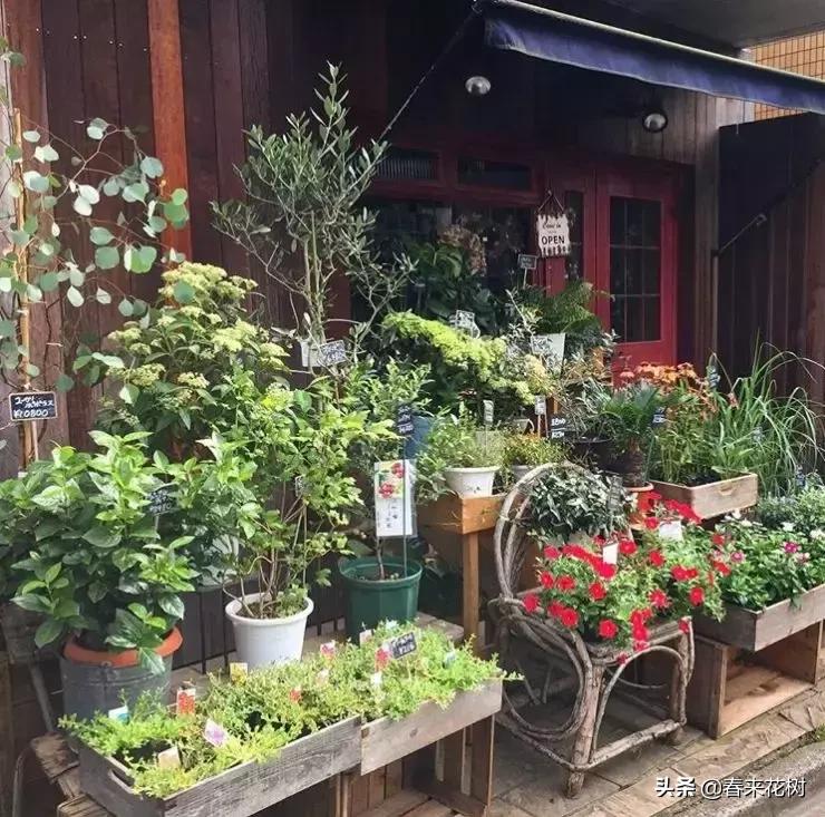 日本东京花店推荐,超美的花店