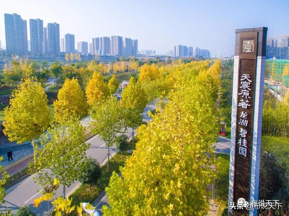 西安主城区一线河景房,河景现房即买即住