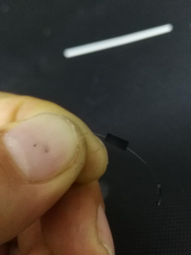 打开新世界之门,世界钓鱼之旅钓大鱼