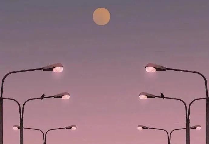 罗杰斯失败的经验,罗杰斯论断