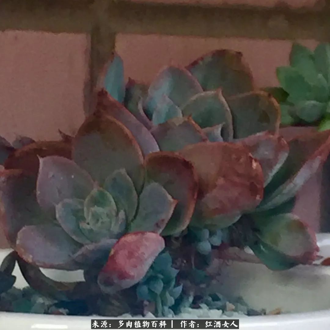 记录走过的美景留下美好的回忆,记录走过的每一段美好时光