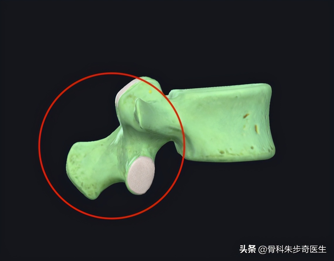 腰椎骨折什么时候能干重活,胸腰椎骨折手术好还是保守治疗好