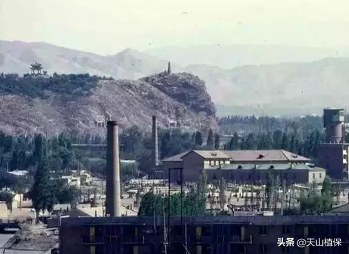 上榜啦！*疆新**鸟市和石市即将被国家命名！未来发展不可估量