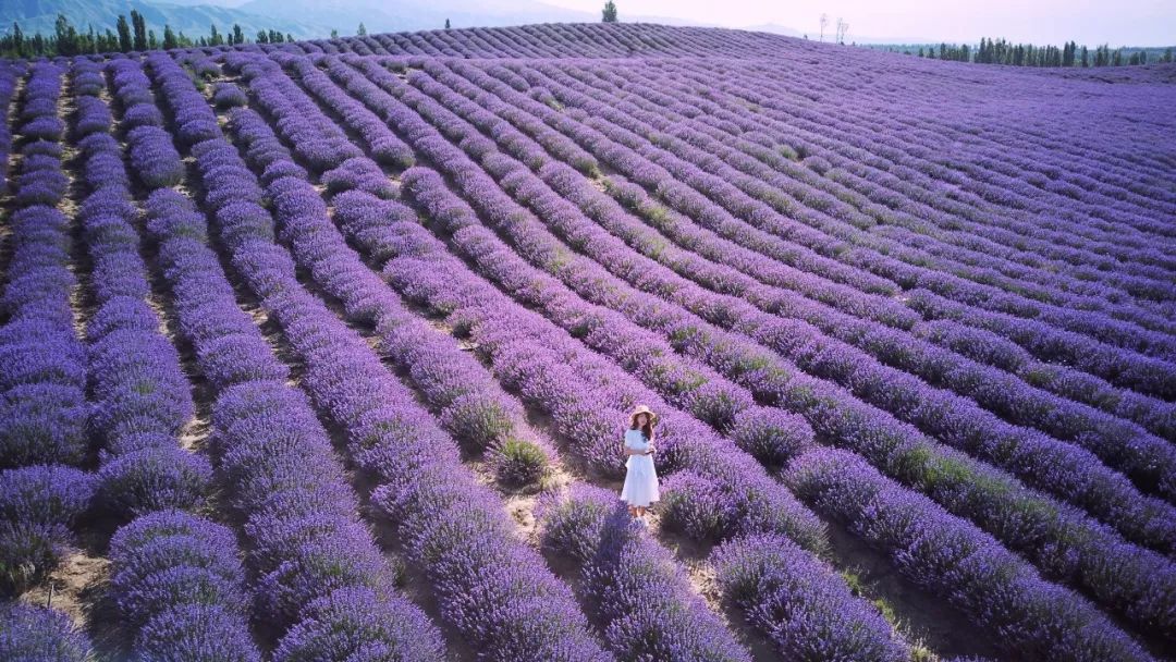 去过18次*疆新**的江南女子，用亲身经历告诉你，*疆新**究竟有多美
