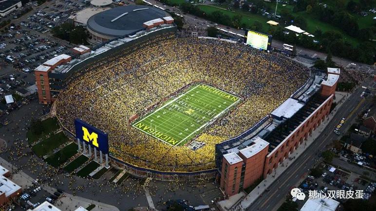 美国小孩体育训练上名校,美国小孩练中国功夫