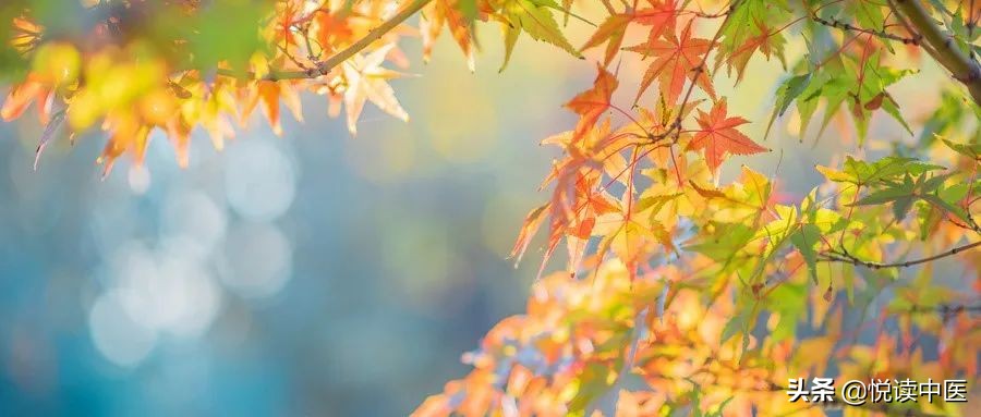 头两侧疼痛董氏奇穴,各种疼痛针灸图解