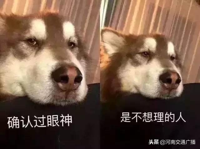 2018十大网络用语你知道几个,锦鲤2018十大网络用语