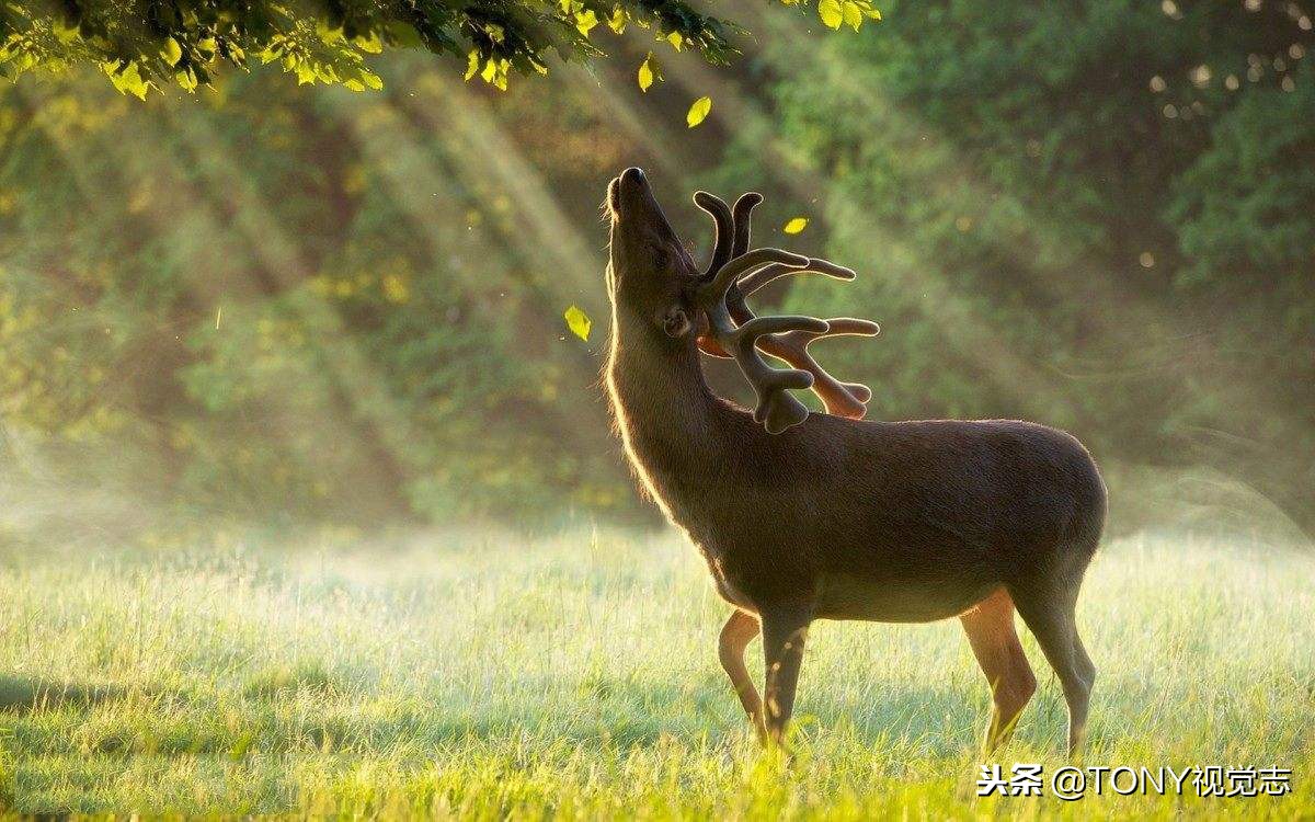 借相机不想借怎么拒绝,拒绝朋友借相机的技巧