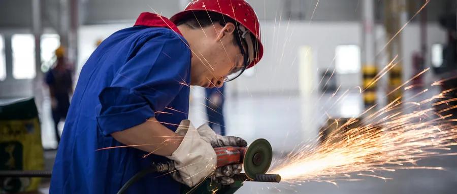 蓝莓售后,蓝莓维护