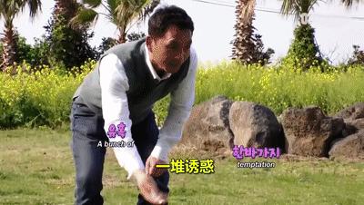 二哈为什么变瘦了,二哈太胖了必须要减肥