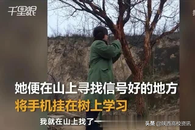 西安培华学院2019分数线及位次,高考志愿填报二本