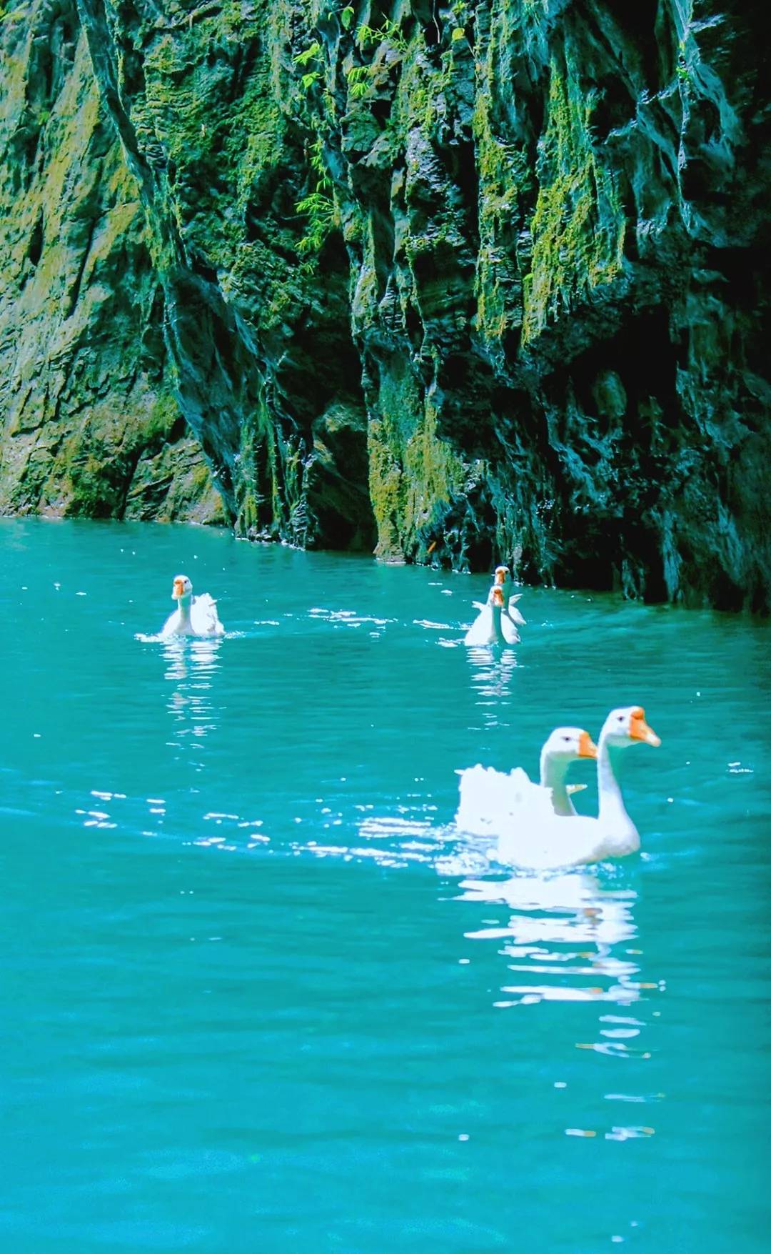 阿依河漂流准备些什么,阿依河漂流1.2米以下小孩可以漂吗