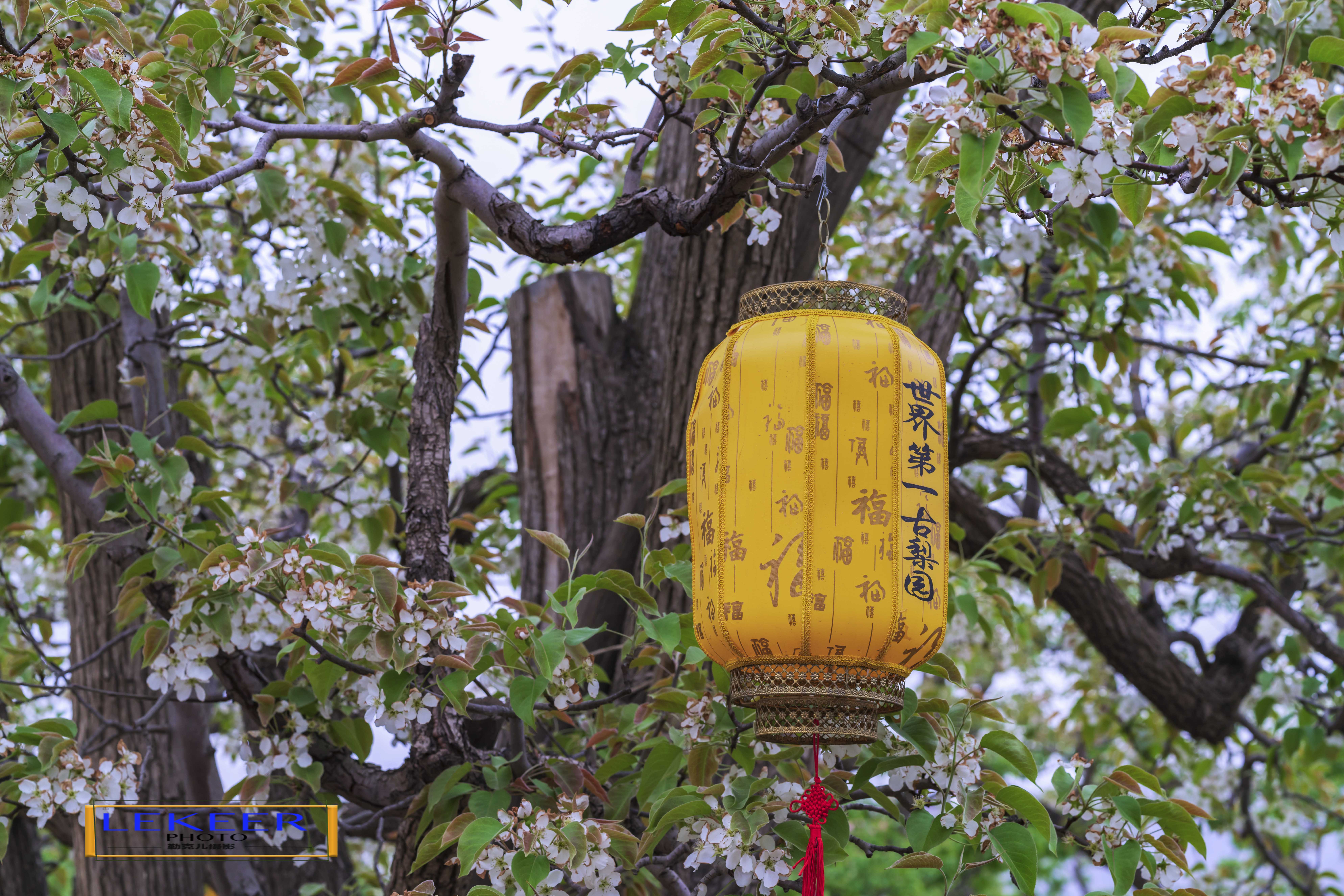 大西北戈壁滩怎么形成的,我国西北地区大戈壁滩形成原因