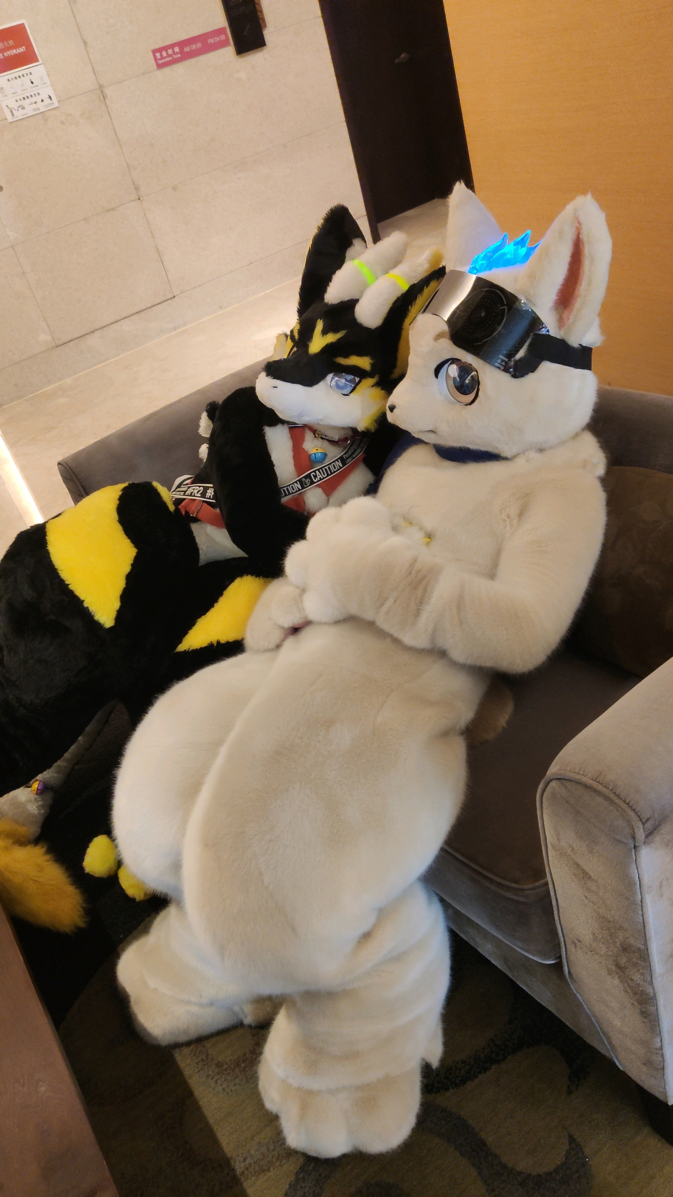 杂图系列（*男猛**系列：兽人furry第一弹）#1