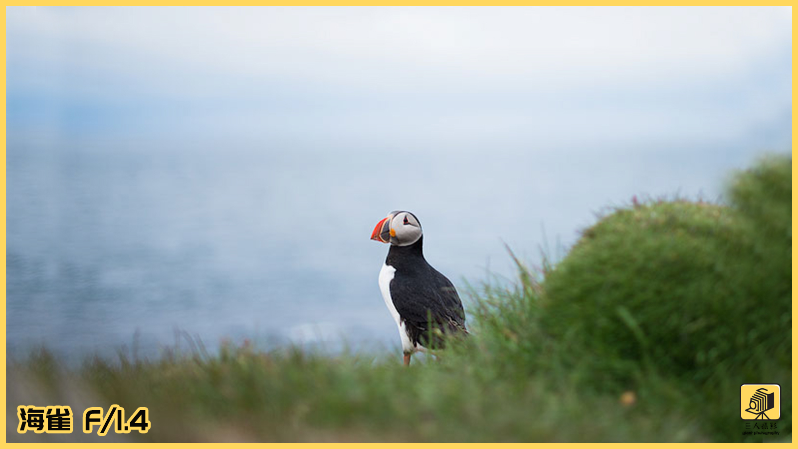 摄影什么是入门级光圈,摄影初学者如何看懂景深
