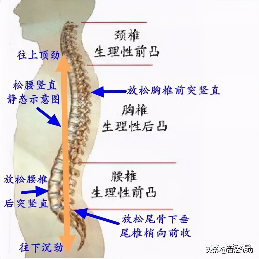 松腰松胯练法视频,松肩松胯训练方法
