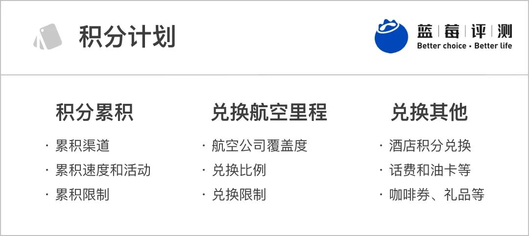 蓝莓评测,蓝莓测评推荐