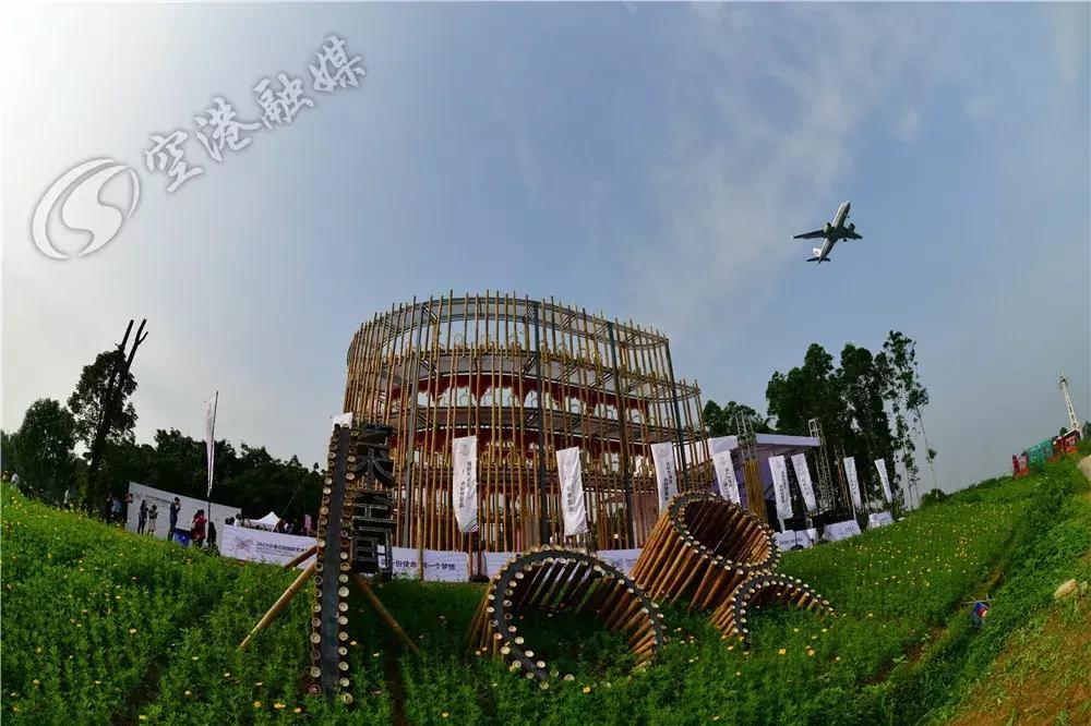 来成都打卡空港花田,成都双流空港花田打卡看飞机