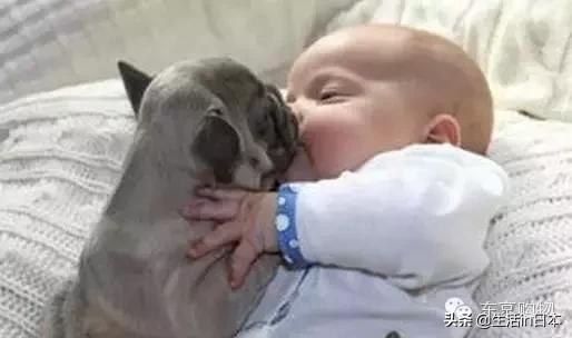 日本的反避税避税,日本有哪些避税政策