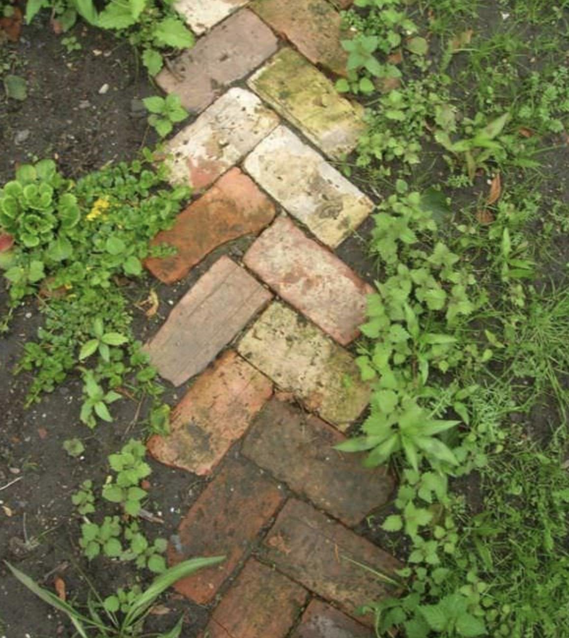 喝剩下的啤酒不要扔掉了,喝剩的饮料瓶别扔